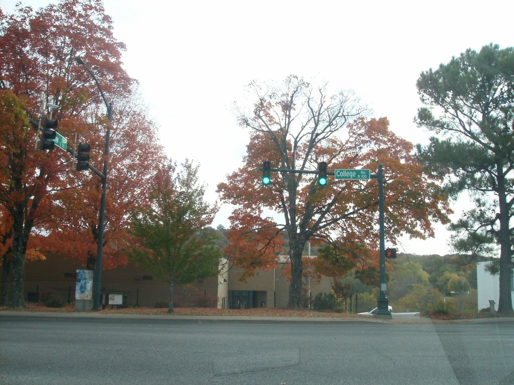 Writings From Adolescence&nbsp;V1